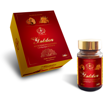 Viên nang trùng Thảo ngưu chương Chi golden