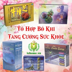 TỔ HỢP BỔ KHÍ TĂNG CƯỜNG SỨC KHỎE